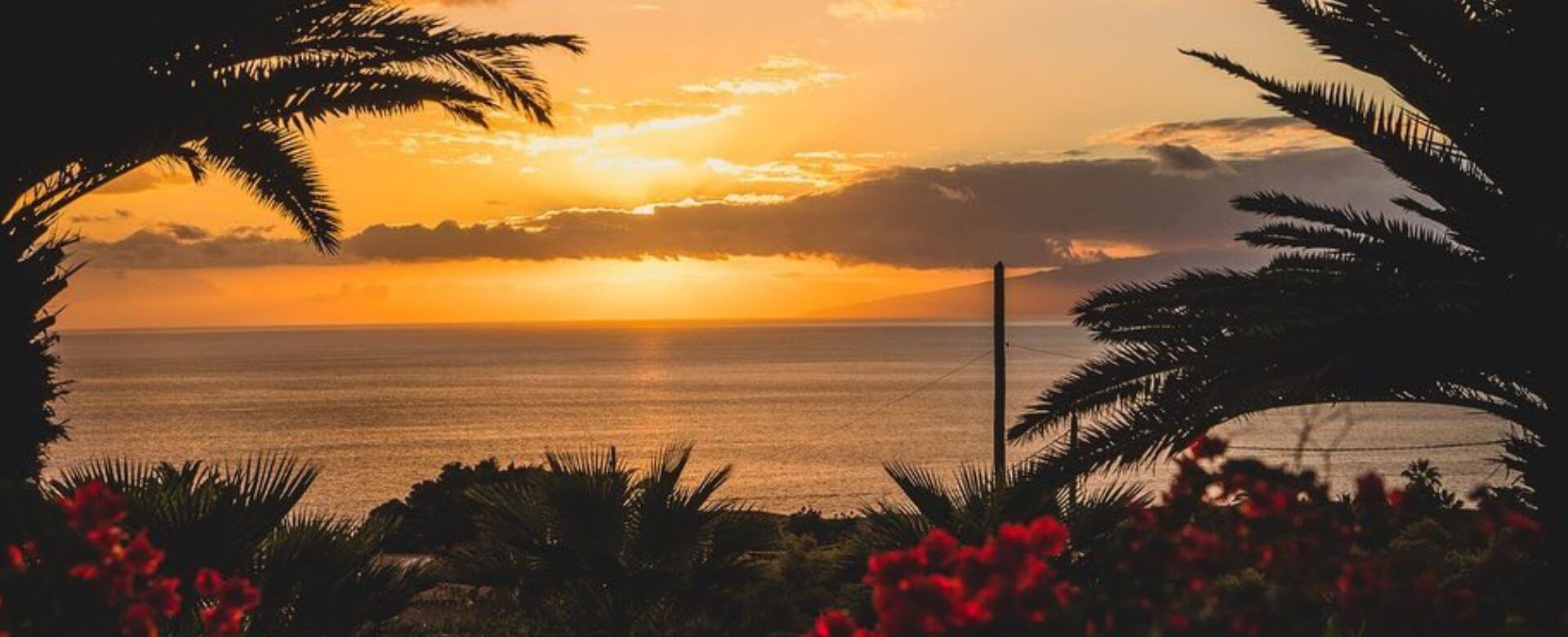 Surfcamps Teneriffa
