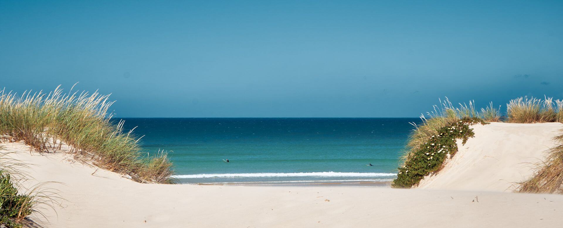 moverii Surfcamps