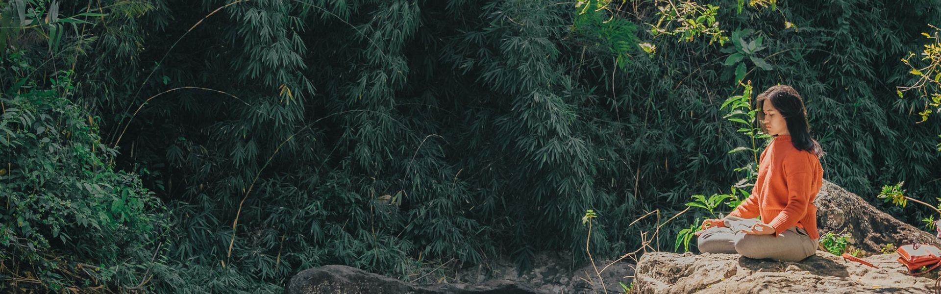 Yoga Retreats