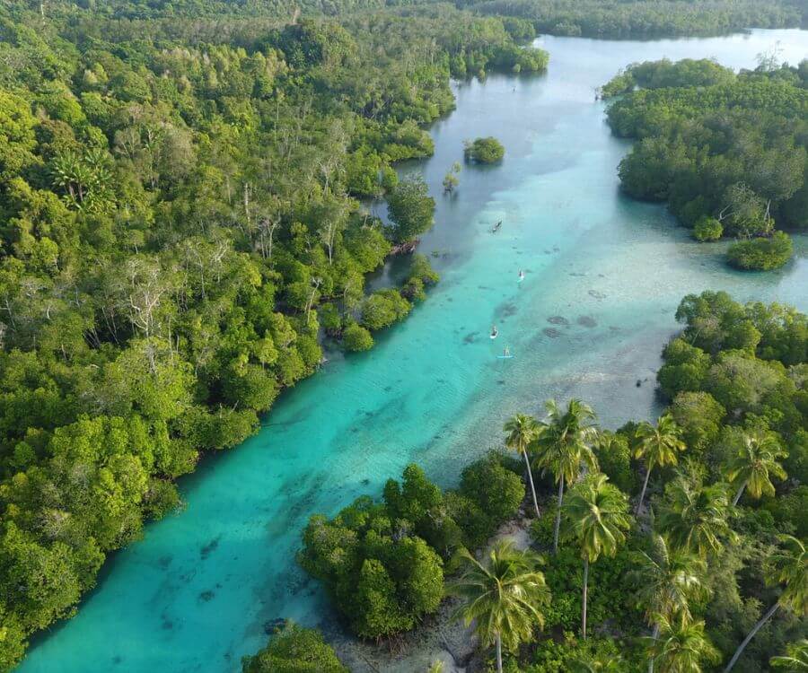 Surfcamps in der Natur