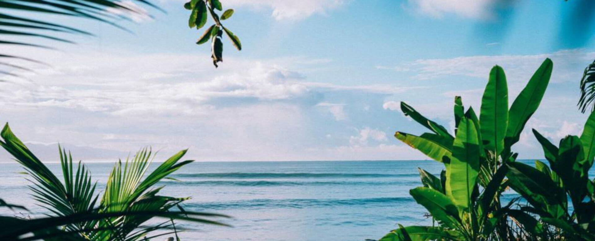 Surfcamps Costa Rica